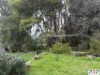 25 Reid Street, Parkes, NSW 2870-Image