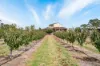 25 Richmond Street, Ringbark, WA 6258-Image