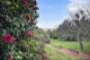 25 Ridge Road, Kalorama, Vic 3766-Image