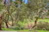 25 Rousillion Promenade, Old Reynella, SA 5161-Image