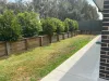 25 Sandridge Street, Thornton, NSW 2322-Image