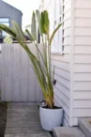25 Saunders Street, Coburg, Vic 3058-Image