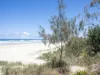 25 Seaside Drive, Kingscliff, NSW 2487-Image