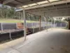 25 Short Road, Macclesfield, Vic 3782-Image