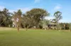 25 Silkwood Court, Glenore Grove, Qld 4342-Image