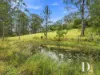 25 Skinner Close, Emerald Beach, NSW 2456-Image