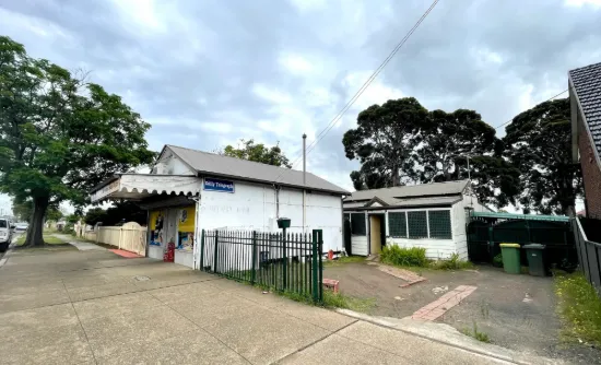 25 St John Road, Canley Heights NSW 2166-Image