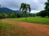25 Stuart Drive, Feluga, Qld 4854-Image