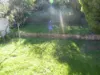 25 Thornleigh Street, Thornleigh, NSW 2120-Image