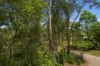 25 Topaz Drive, Emerald Beach, NSW 2456-Image