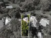 25 Turley Street, Fairfield, Qld 4103-Image