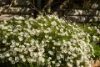 25 Upper Drew Street, East Devonport, Tas 7310-Image