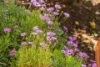 25 Upper Drew Street, East Devonport, Tas 7310-Image