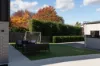 25 Wentworth Street, Newstead, Tas 7250-Image
