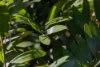 25 William Street, Nambour QLD 4560-Image