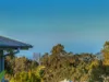 25 Willow Tree Drive, Reedy Creek, Qld 4227-Image