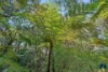 250 Carradine Road, Bedfordale, WA 6112-Image
