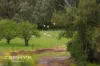 250 Irishtown Road, Donnybrook, WA 6239-Image