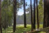 250 Phillip Road, Cockatoo, Vic 3781-Image