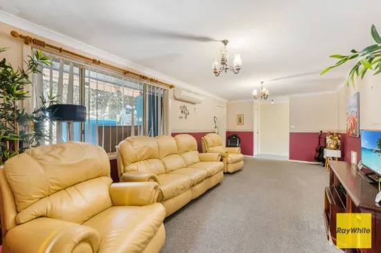 251 Canley Vale Road, Canley Heights NSW 2166-Image