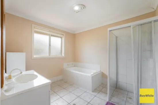 251 Canley Vale Road, Canley Heights NSW 2166-Image