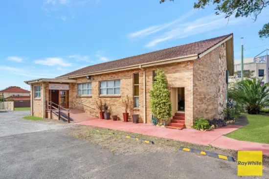 251 Canley Vale Road, Canley Heights NSW 2166-Image
