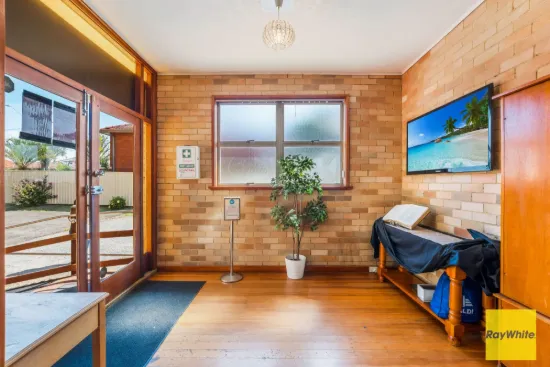 251 Canley Vale Road, Canley Heights NSW 2166-Image