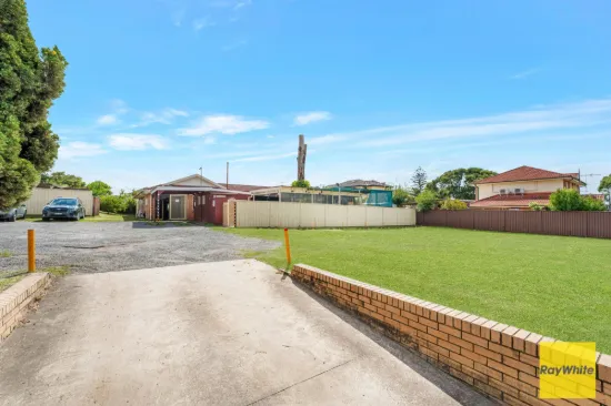 251 Canley Vale Road, Canley Heights NSW 2166-Image