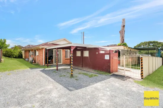 251 Canley Vale Road, Canley Heights NSW 2166-Image