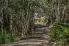 251 Myrtle Creek Road, Liffey, Tas 7301-Image