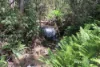 251 Myrtle Creek Road, Liffey, Tas 7301-Image