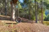 251 Nicholls Rivulet Road, Oyster Cove, Tas 7150-Image