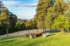 251 Nicholls Rivulet Road, Oyster Cove, Tas 7150-Image