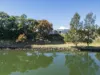 2511 Big River Way, Ulmarra, NSW 2462-Image
