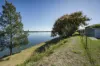 2511 Big River Way, Ulmarra, NSW 2462-Image