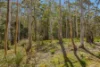 2512 Channel Highway, Lower Snug, Tas 7054-Image