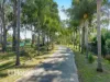 252 Campbelltown Road, Denham Court, NSW 2565-Image