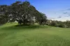 252 Old Mount Samson Road, Closeburn, Qld 4520-Image