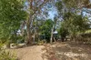 252 Ravenscar Street, Doubleview, WA 6018-Image