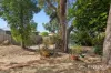 252 Ravenscar Street, Doubleview, WA 6018-Image