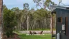 253 Anderson Way, Agnes Water QLD 4677-Image