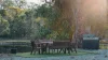 253 Anderson Way, Agnes Water QLD 4677-Image