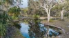 253 Anderson Way, Agnes Water QLD 4677-Image