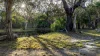 253 Anderson Way, Agnes Water QLD 4677-Image