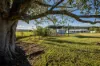 253 Geeberga Buthurra Road, Kuttabul, Qld 4741-Image