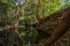 253 Geeberga Buthurra Road, Kuttabul, Qld 4741-Image