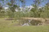 253 Jim Whyte Way, Burua, Qld 4680-Image