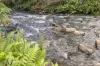 253 Kermandie River Road, Geeveston, Tas 7116-Image