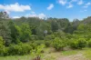 253 Palmvale Road, Palmvale, NSW 2484-Image