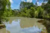 253 Palmvale Road, Palmvale, NSW 2484-Image